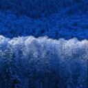 Austin Shoemaker - @AustinShoemake4 - Twitter