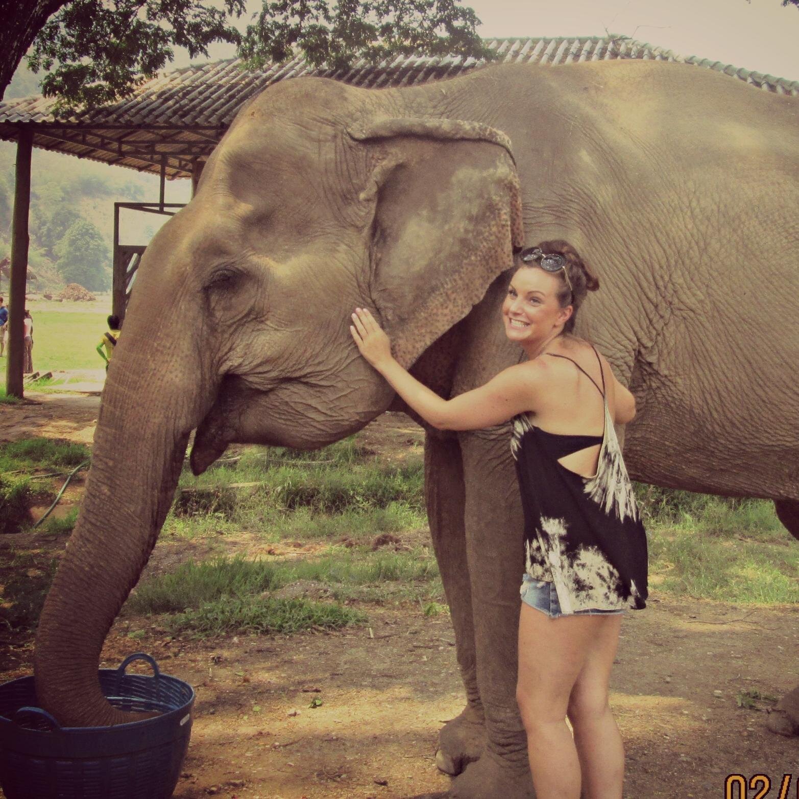 HarryHarryN's profile picture. You'll usually find me eating cheese