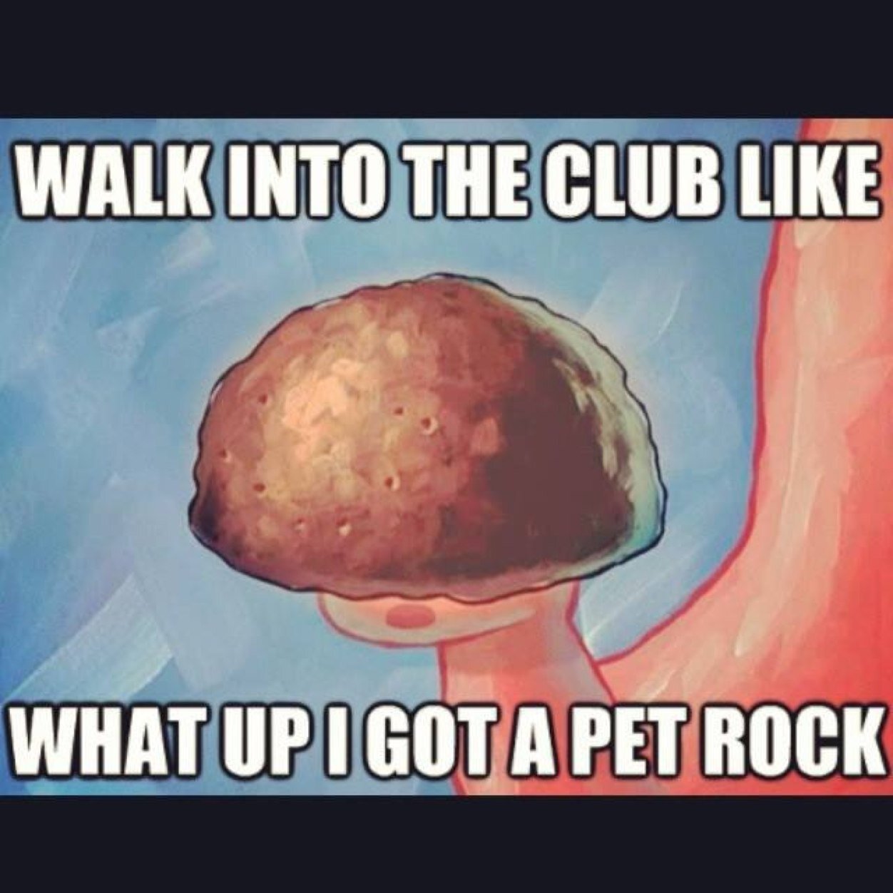 jakeandcat's profile picture. 