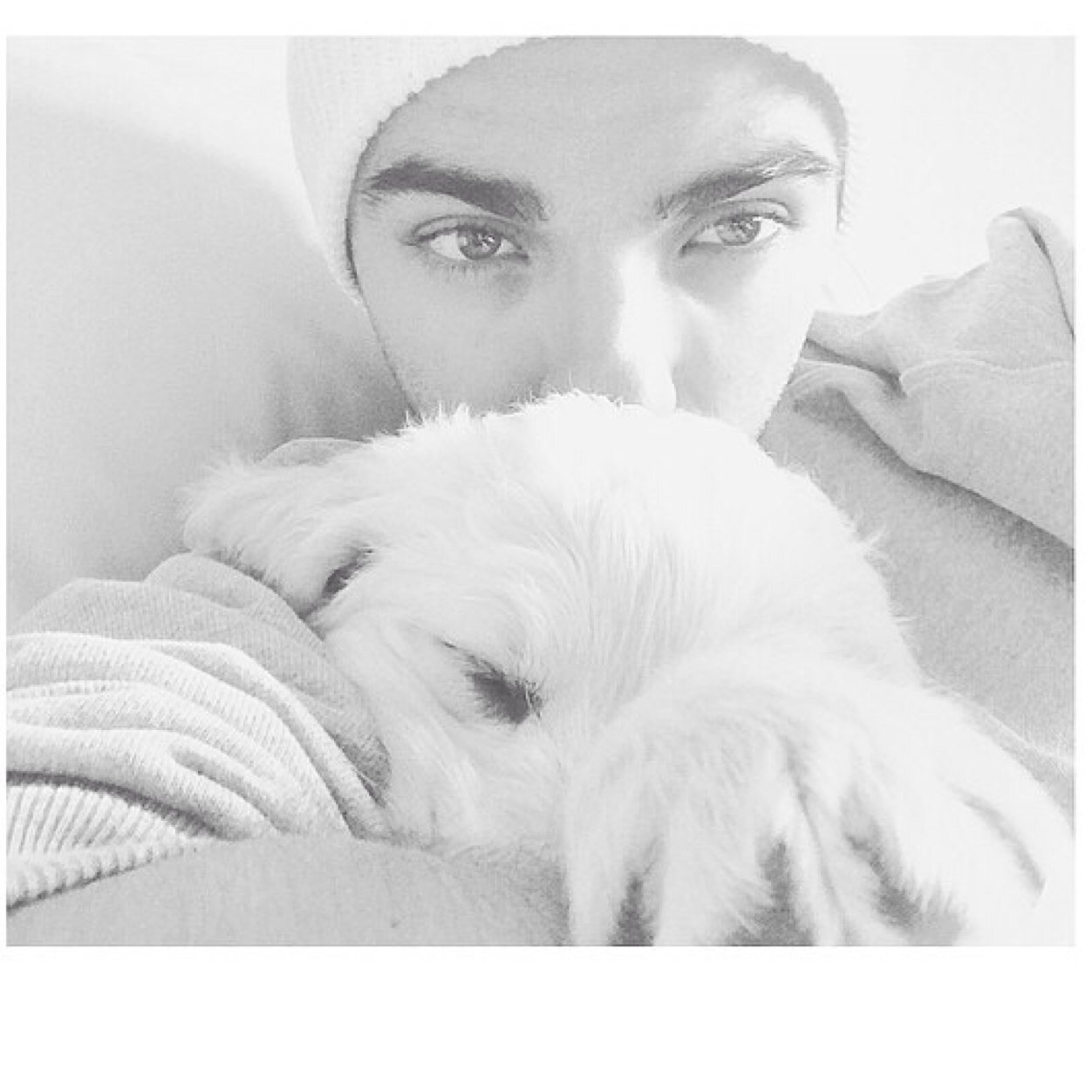 Hi, I'm Minnie and I'm Nathan Sykes puppy