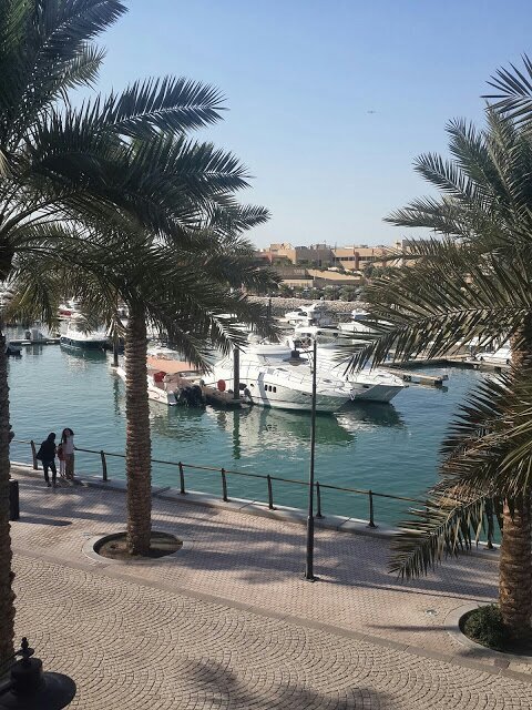 ‏‏‏‏بكلوريس#ادارة اعمال #تخصص تسويق #جامعة الملك فيصل