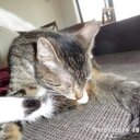 Paul Severin - @Checker_23 - Twitter