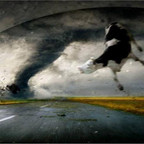 TornadodePR's profile picture. 