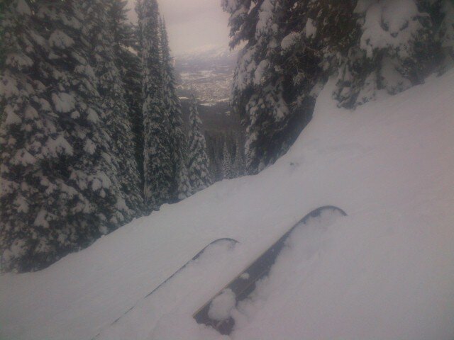 tmscout360's profile picture. Husband and father of two beautiful girls. Senior Sales Agronomist for Richardson Pioneer.