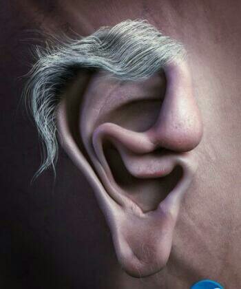 SirBiscornu's profile picture. J'ai les idée tordu, je follow back.