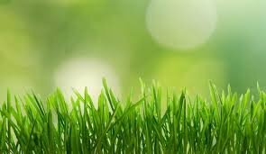 miguetwiteatodo's profile picture. La vida es ilusión si persigues un sueño