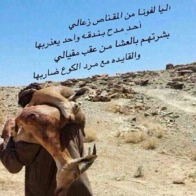 PIN: 2A7AB46F  : 0547591559_الوجه _