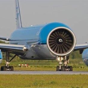 BiritzaidaPerez's profile picture. Luchadora