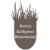 Bianca Zuidgeest (@bzbloemstylist) Twitter profile photo