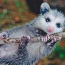 Sidney Rich - @s_i_d_rich - Twitter