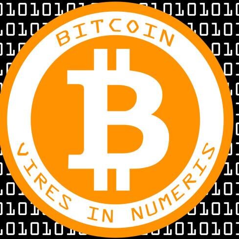 BitcoinDummies Profile Picture