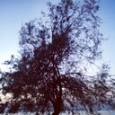 maria awad - @mariaawad98 - Twitter