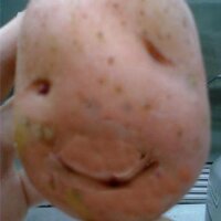 Rancidius " Maximus Putridious " Potatodopoulos (@rancidpotato) 's Twitter Profile