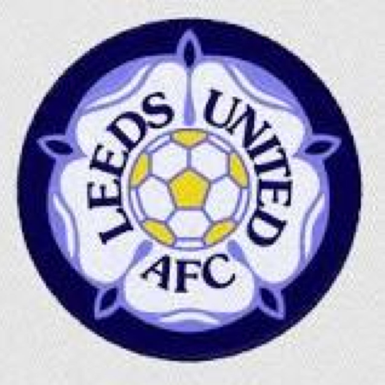 lufcdarren Profile Picture