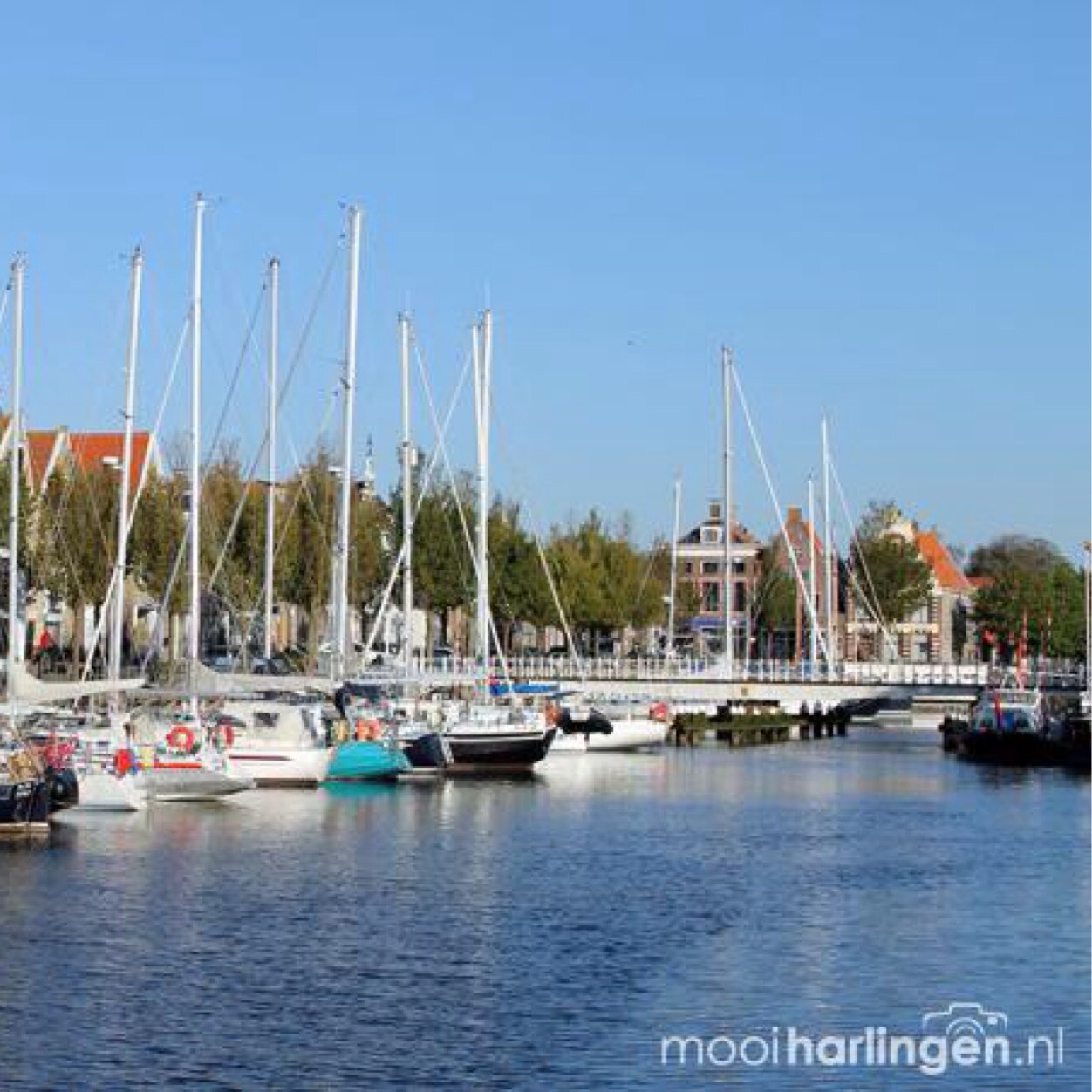 Foto's van (gebeurtenissen in) Harlingen en omstreken.