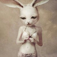 H e y y o u ♥ (@hola_perritas) 's Twitter Profile