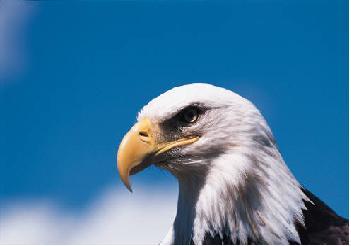 LIVES_ITRT's profile picture. Instructional Technology Resource Teacher