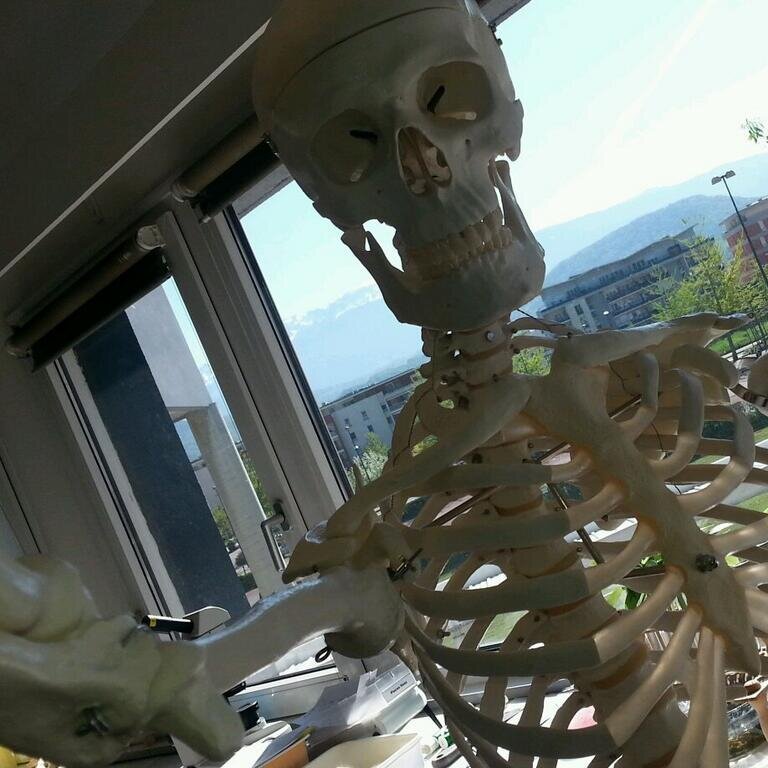 Squelette de père en fils depuis 150 ans.