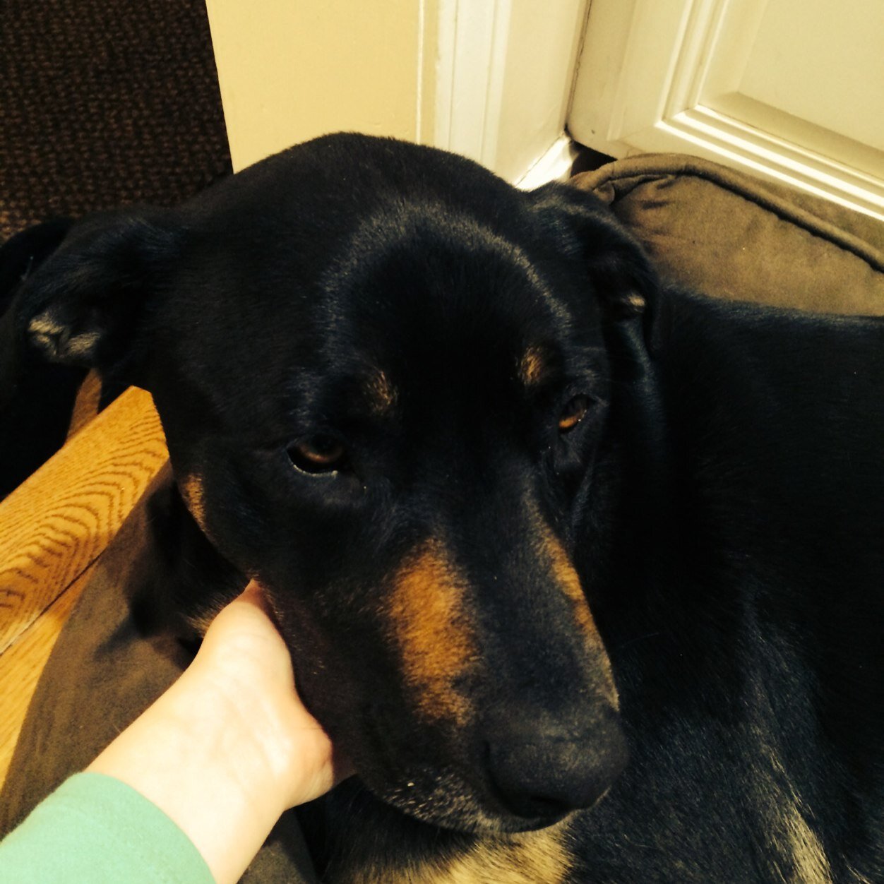 KenSawyers's profile picture. husband, father, and Sunday morning softball player. Defend the police, put up the wall, and devout capitalist.