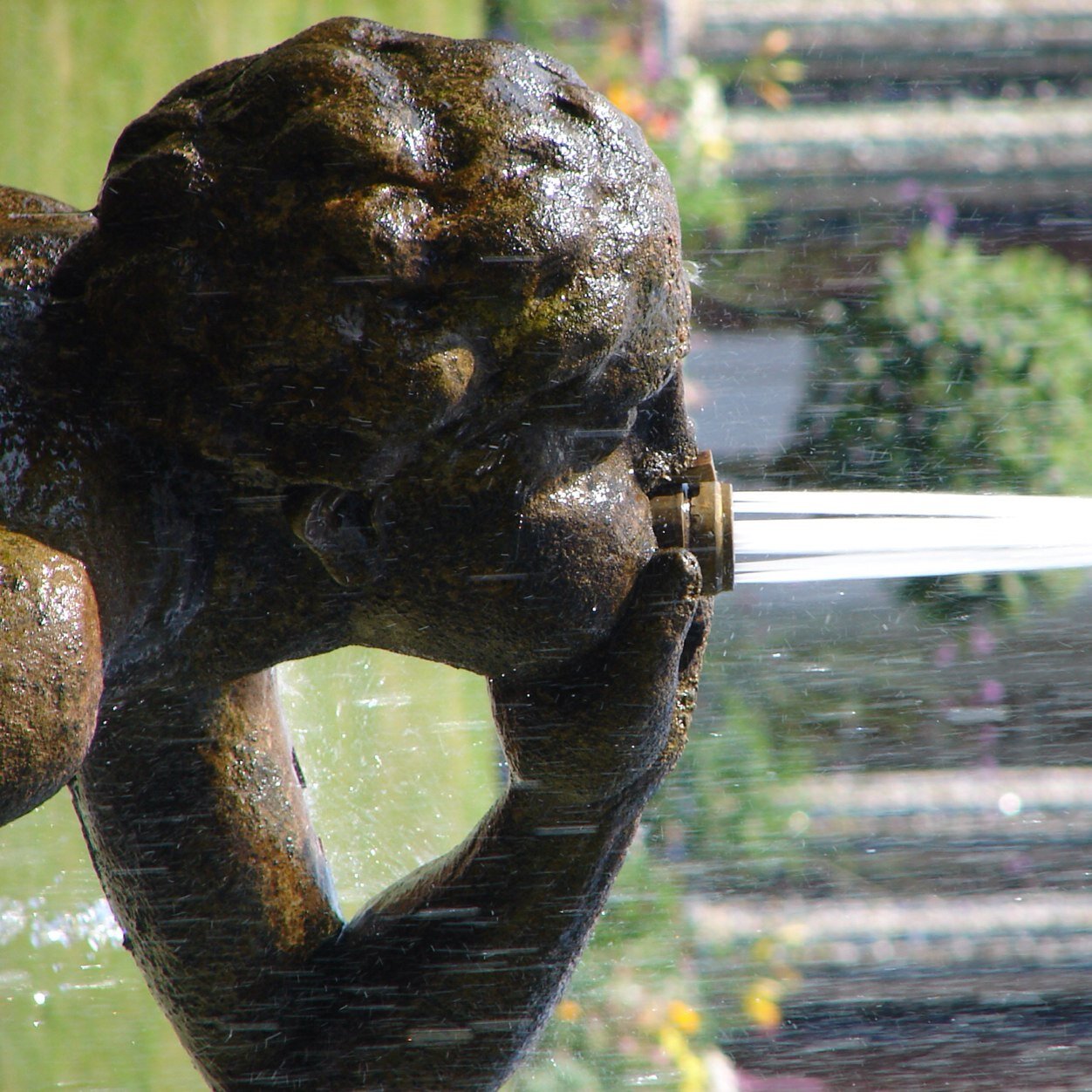 guutzuwissen's profile picture. 