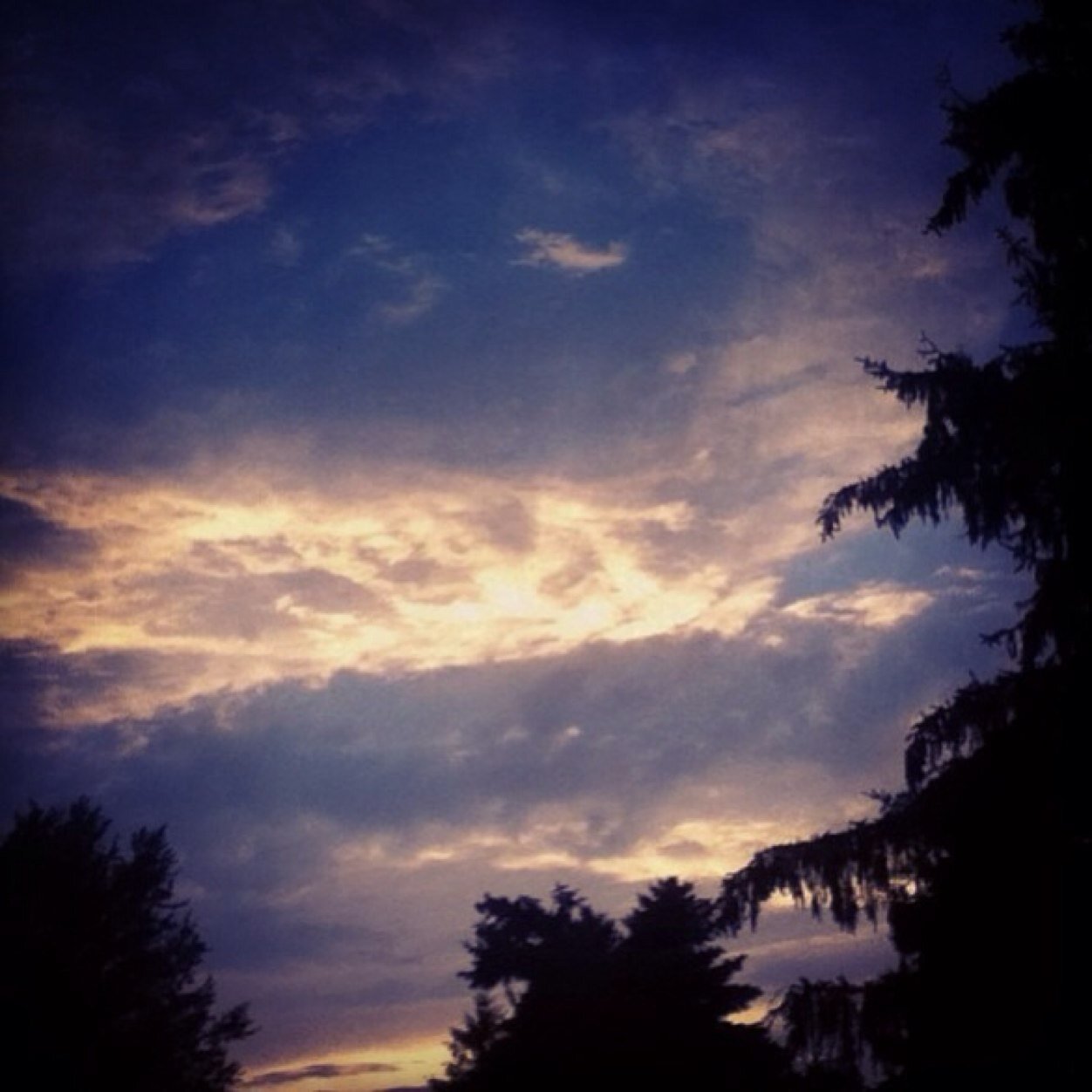 tpacasey's profile picture. 