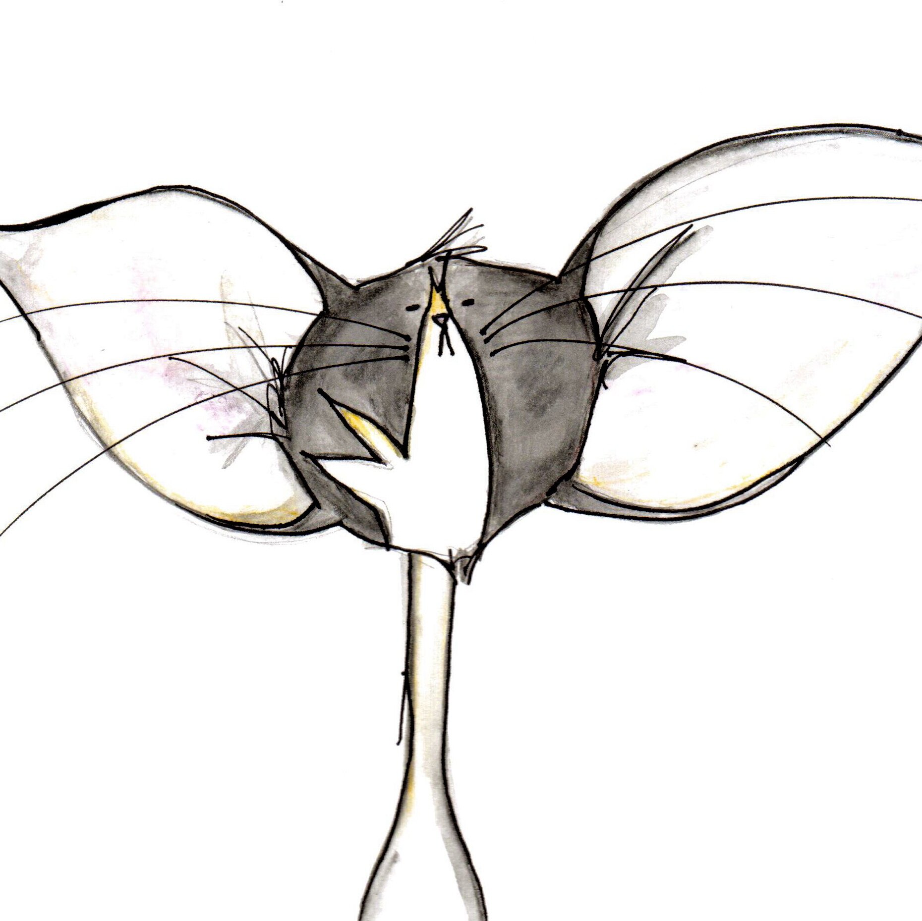 BadKittySweats's profile picture. Party supply and gift. Check us out on Etsy for all the fun!