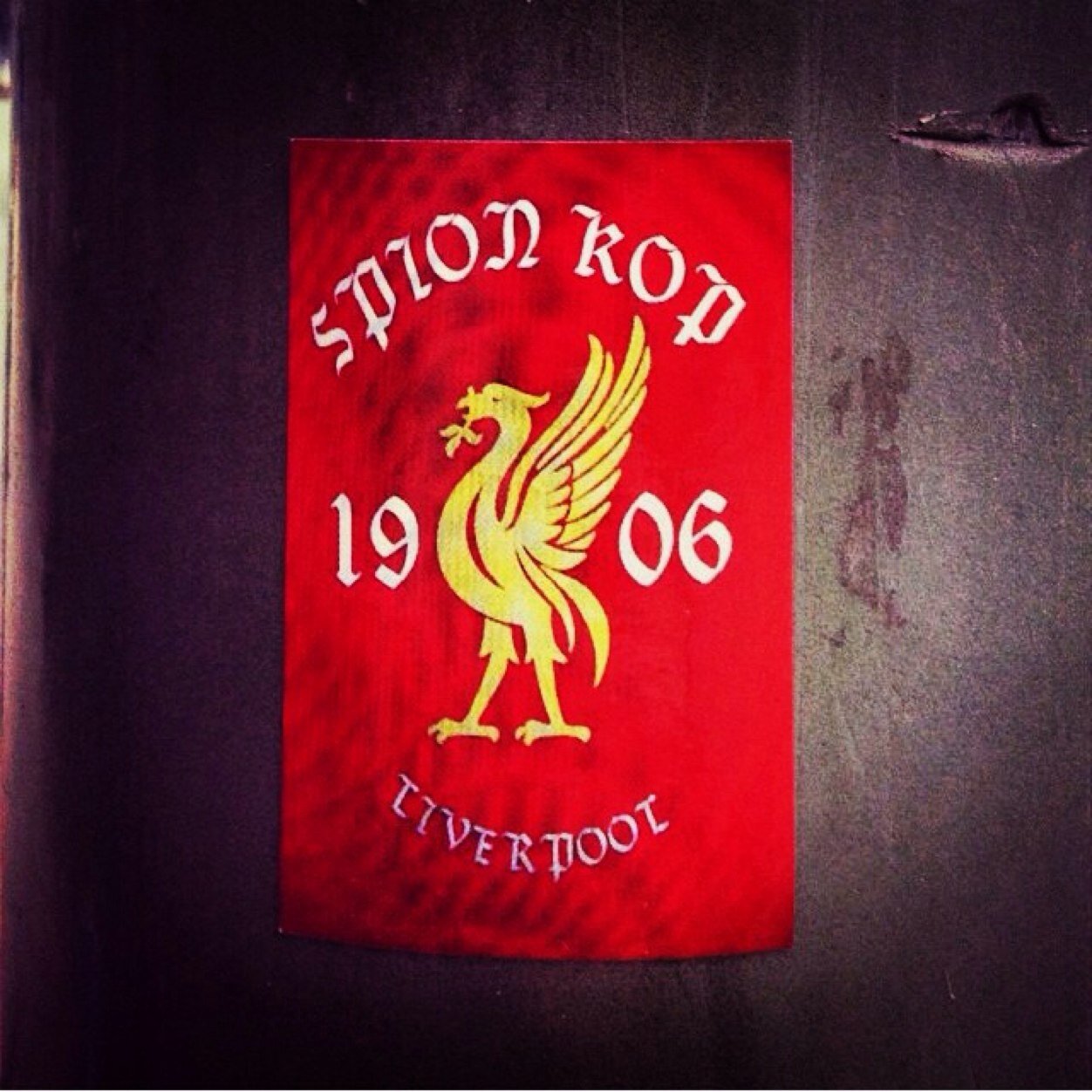 Liverpool kopite.