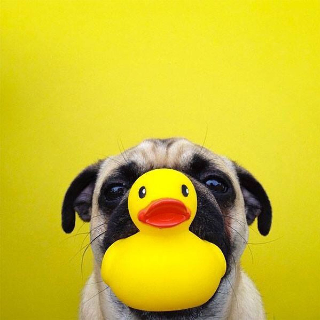 parksey2012's profile picture. 