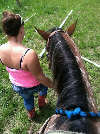 Hey my names Allison. Am 16,  live on a farm. I do 4-h I show horses, steers, lambs and pigs. I am in the WPYRA!