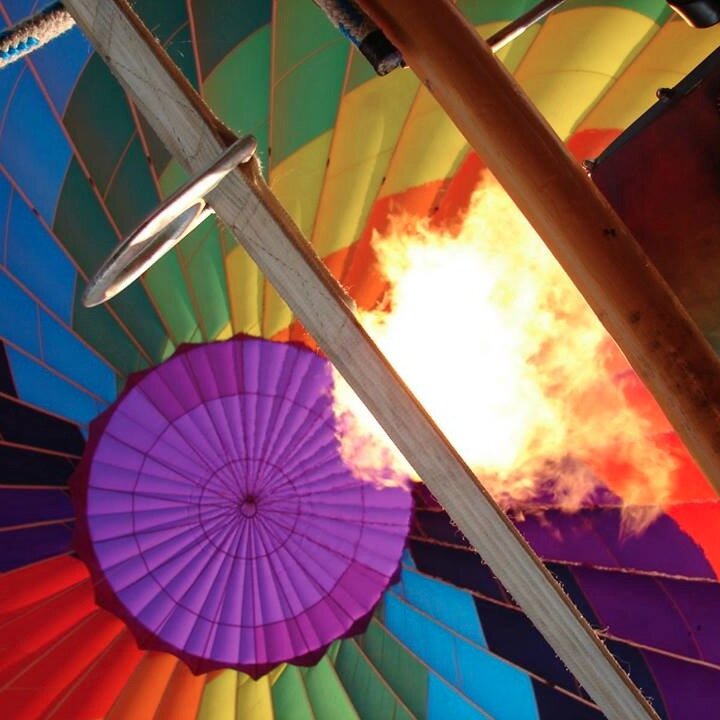 fcballoonfest's profile picture. 