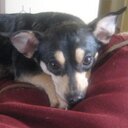 Lisa Manners - @lisaraemanners - Twitter