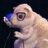ArmondMite's profile image