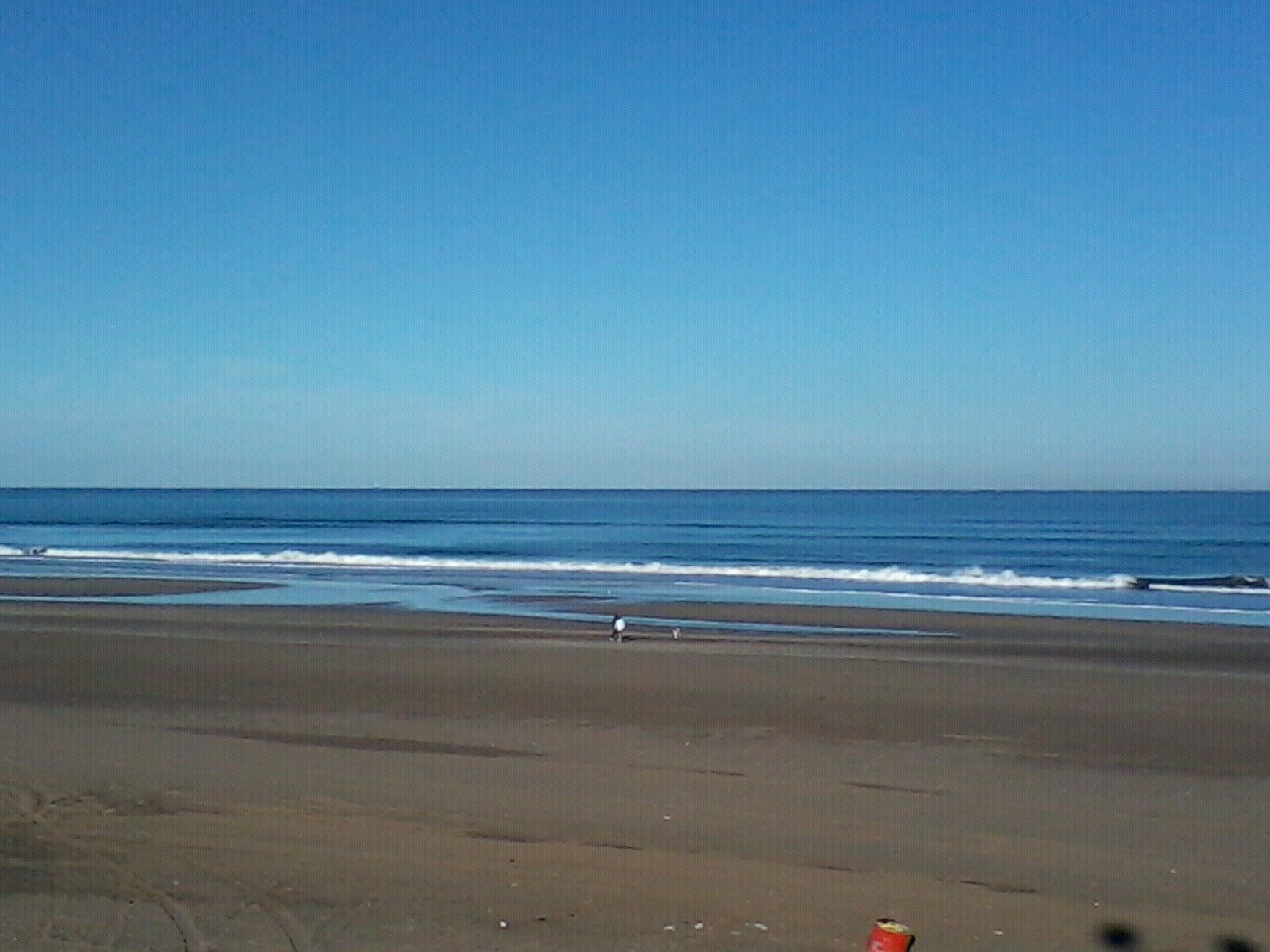 Licenciada en Nutrición, ciudad de Necochea.