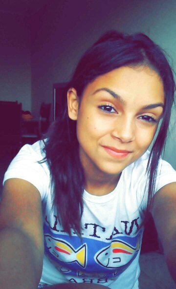 twitter novo