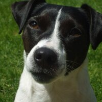 Paula Baird (@bairdp) 's Twitter Profile