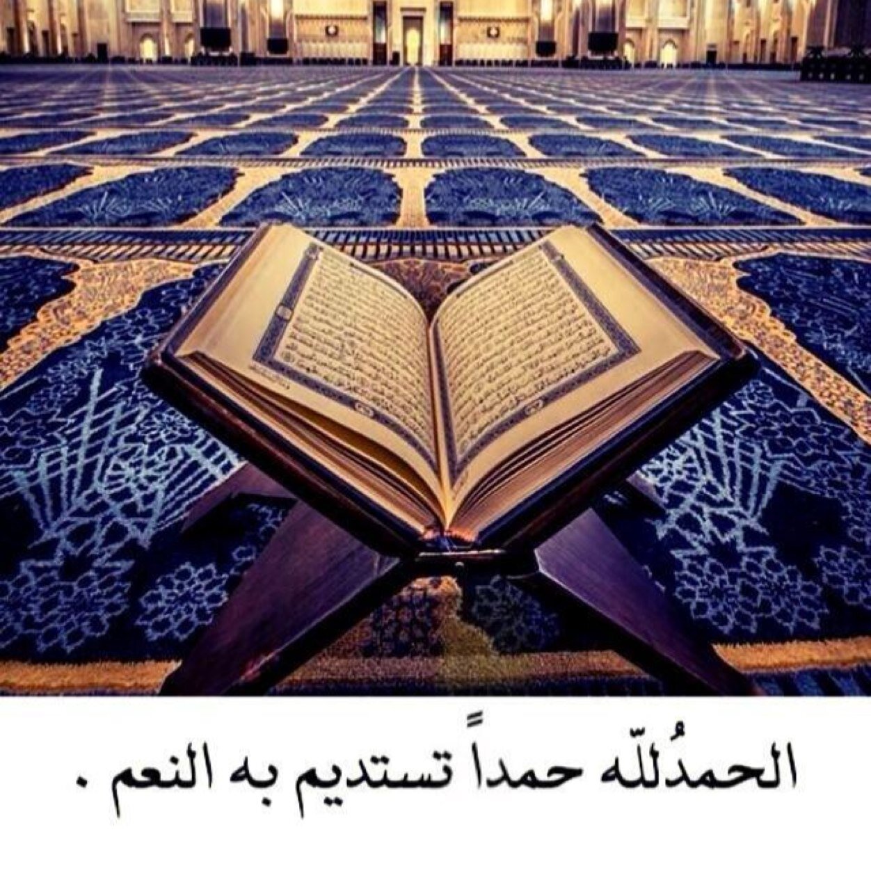 OmAbdullahFD Profile Picture