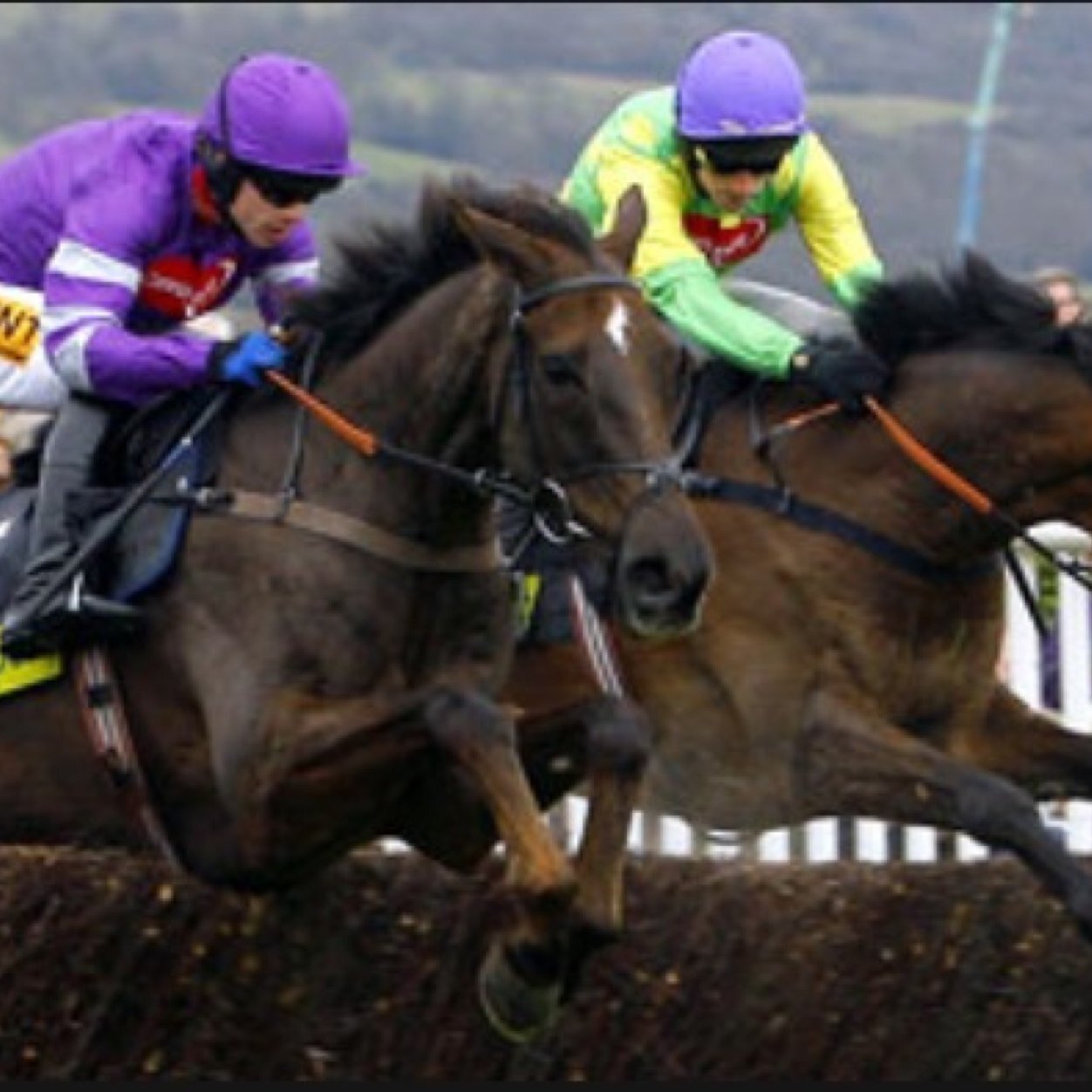 GetOnThoseNags's profile picture. Money and champagne