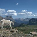 jon reimer - @joncoffeereimer - Twitter