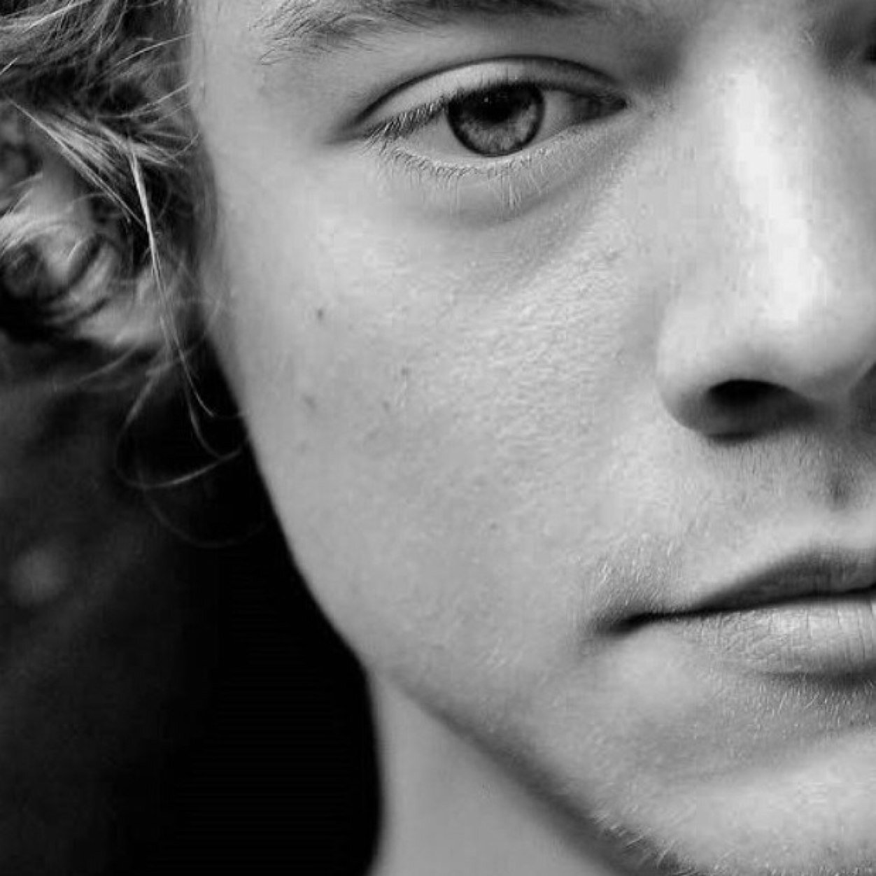 FOLLOW @NARRYAWOL OR GET AN STD