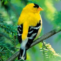 Bridget Jensen (@trenton_local) 's Twitter Profile