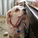 Joseph Grasser - @GrasserJoseph - Twitter