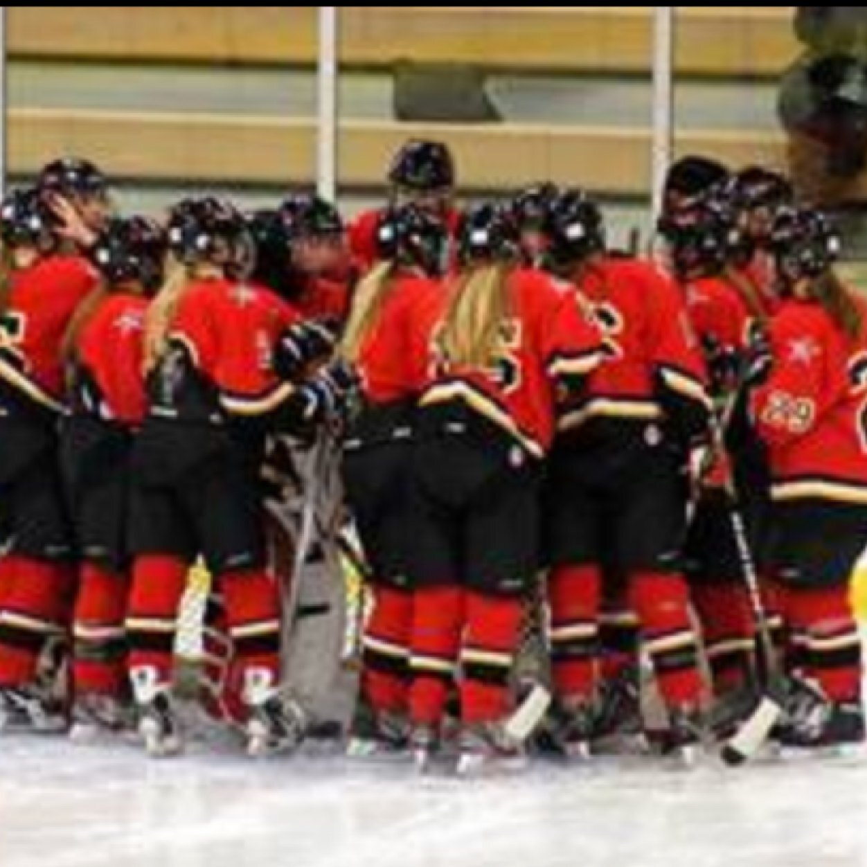 DNS_hockey's profile picture. Official twitter page for the 2014-2015 Duluth Northern Stars girls hockey team!