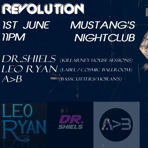 RevKillarney's profile picture. Throwing Big Events in Killarney. Enabling the change from boring, overpriced events. Fresh music policy, venue & Entertainers. #JoinTheRevolution