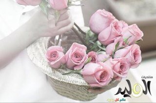 (رب ابن لي عندك بيتا في الجنه ..)الخاااص ممممممنووووووووع#مجلس_دعم_ومساندة _الشام