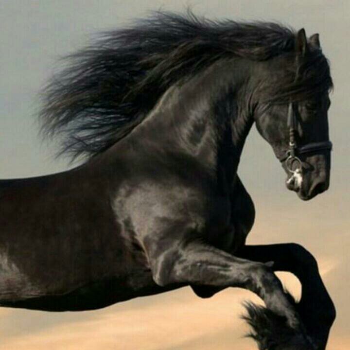 somers345's profile picture. 