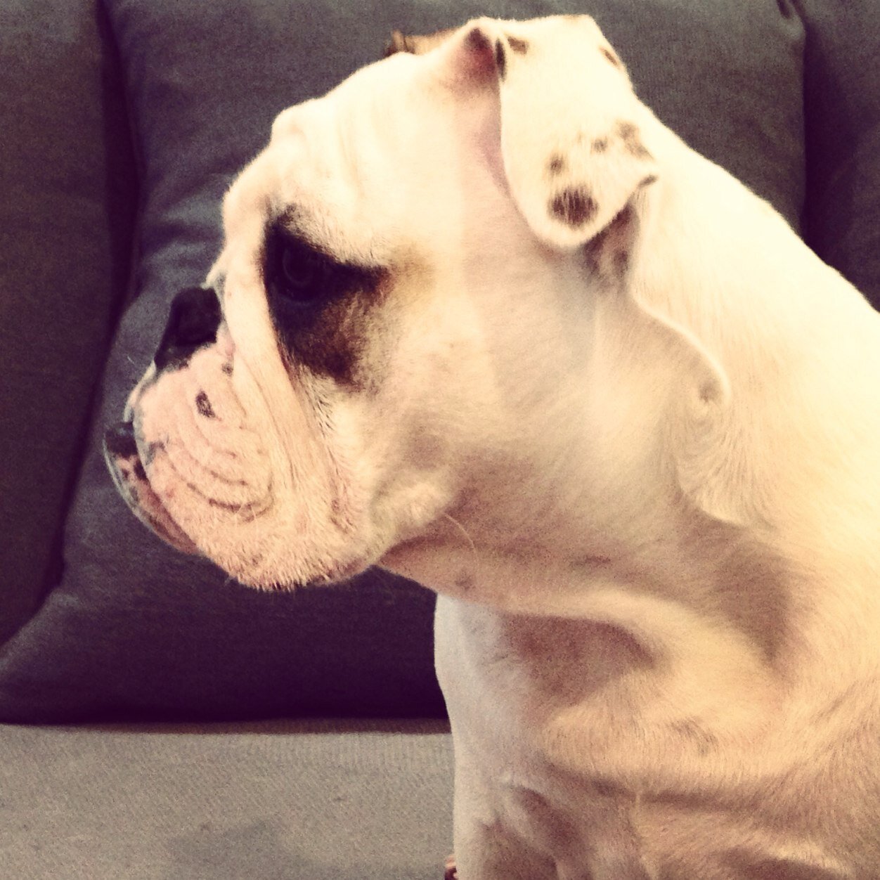 mandootime's profile picture. 