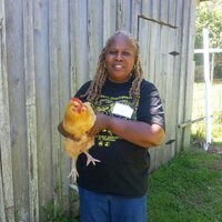 Karen Washington (@karwasher) 's Twitter Profile