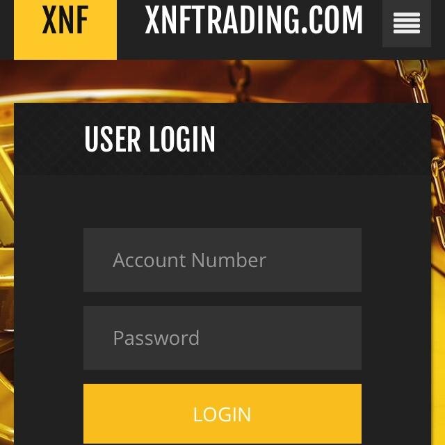 Chief Strategy Officer at XNF