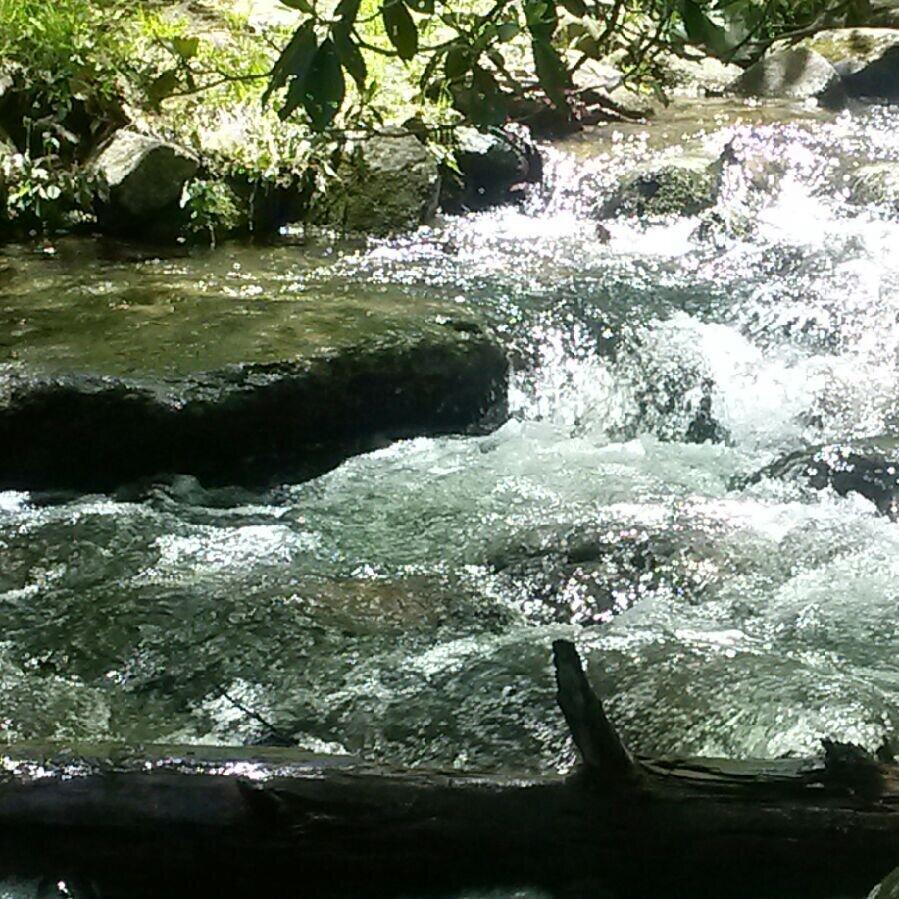 RenownedNature's profile picture. Welcome to the world you live in. The Renowned Nature