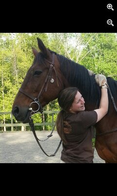 Moment of Suspension 'Owen' ~ Hunter Jumper RIP Daddy 4/28/63-4/10/06